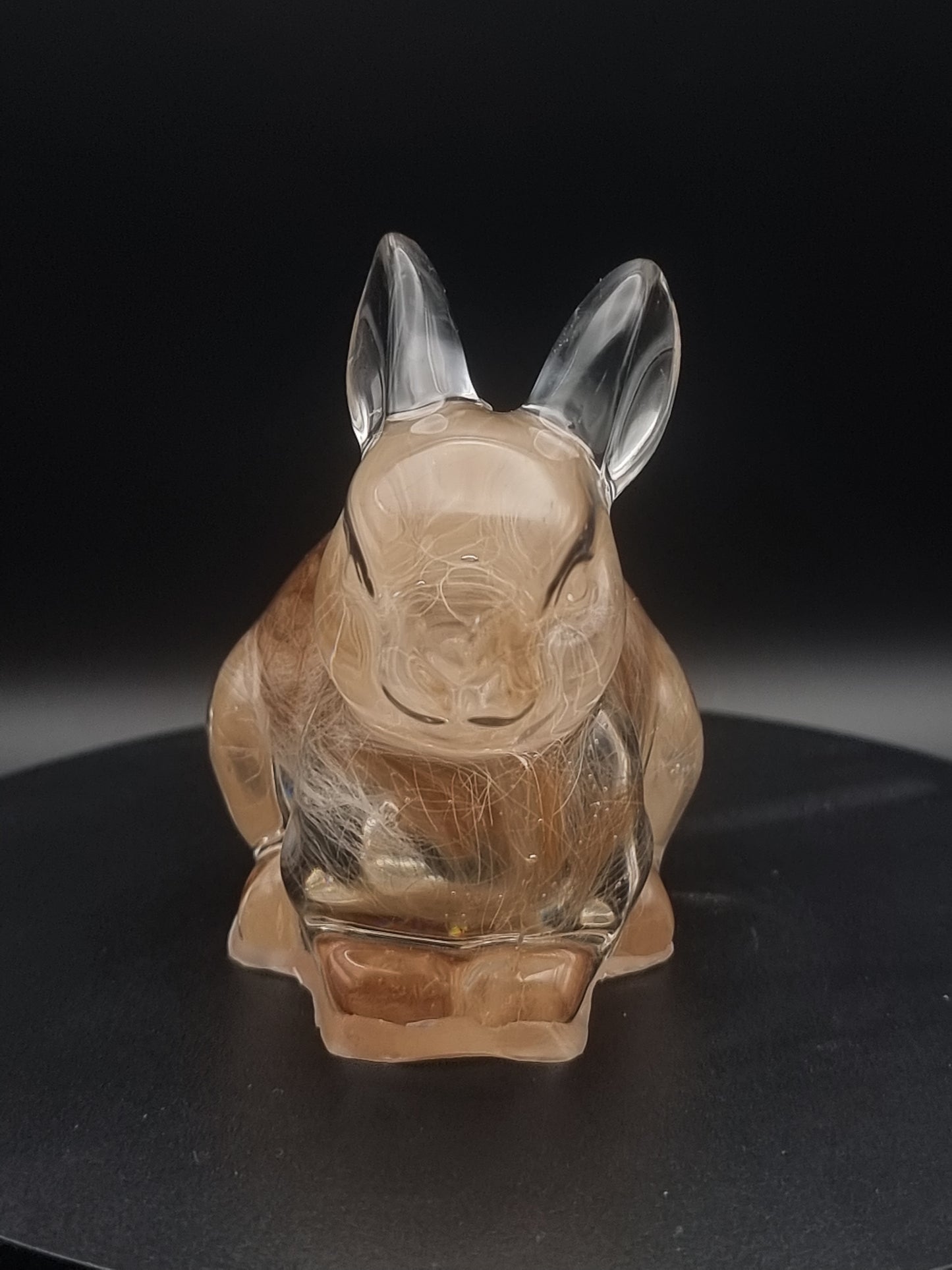 Rabbit/Bunny