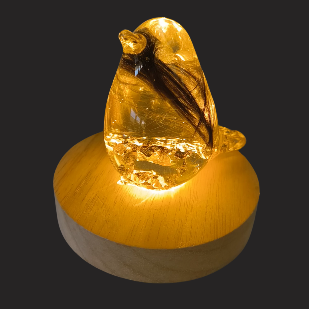 Robin (3D)