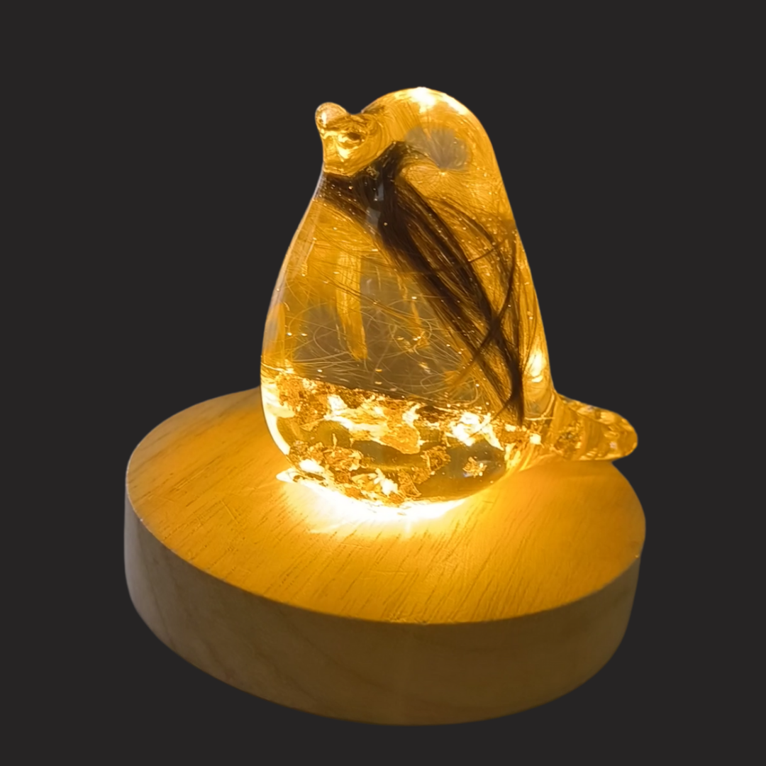 Robin (3D)