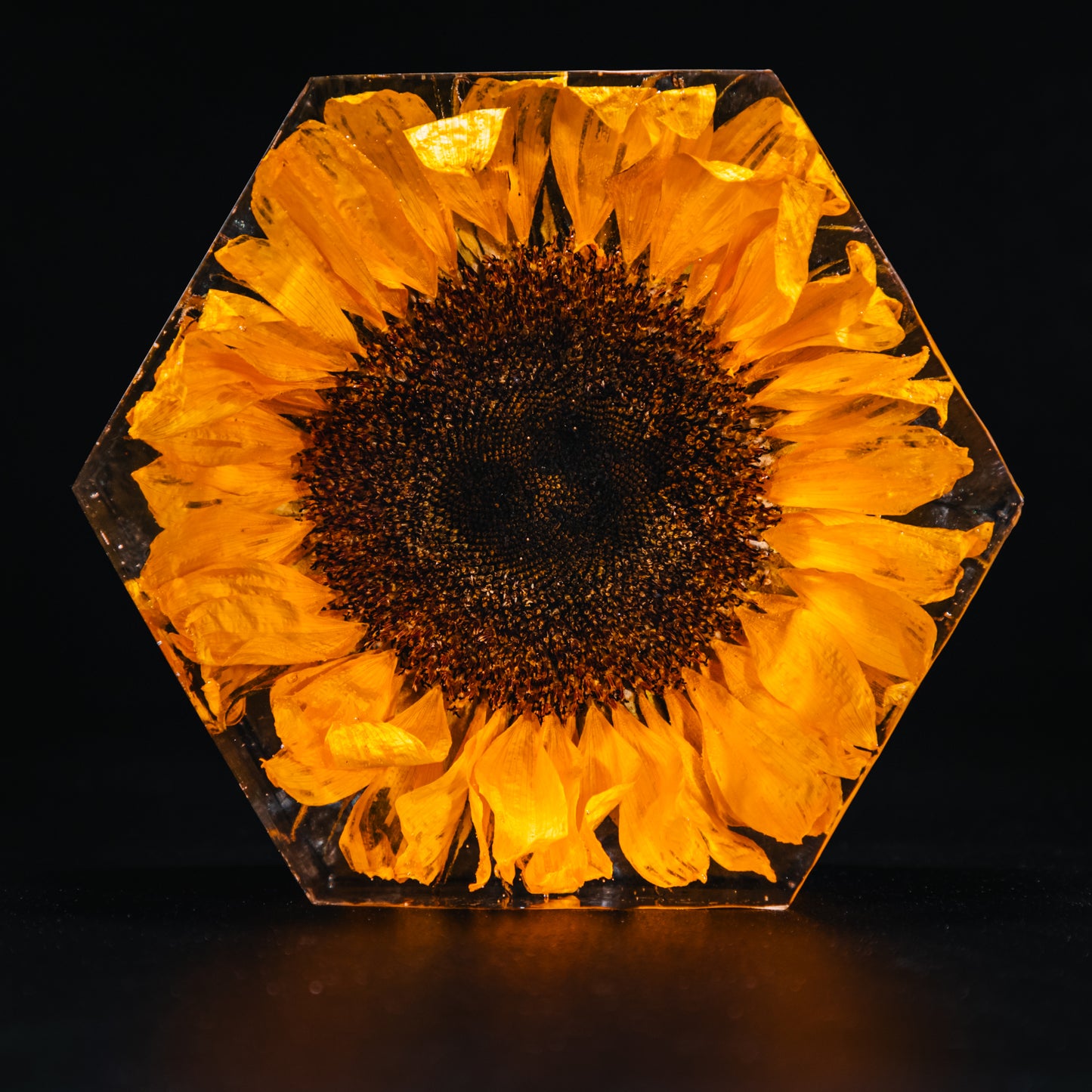 Hexagon (14.5cm x 14.5cm)