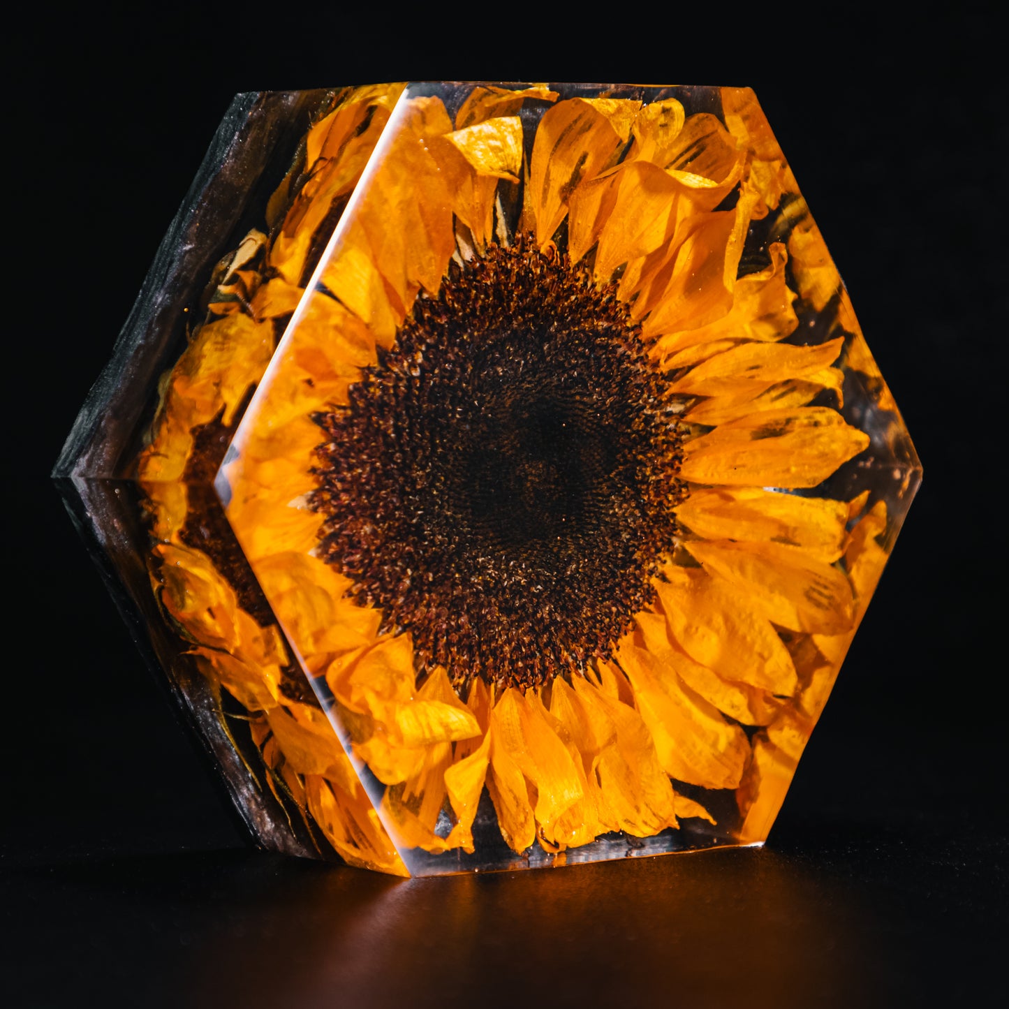 Hexagon (14.5cm x 14.5cm)