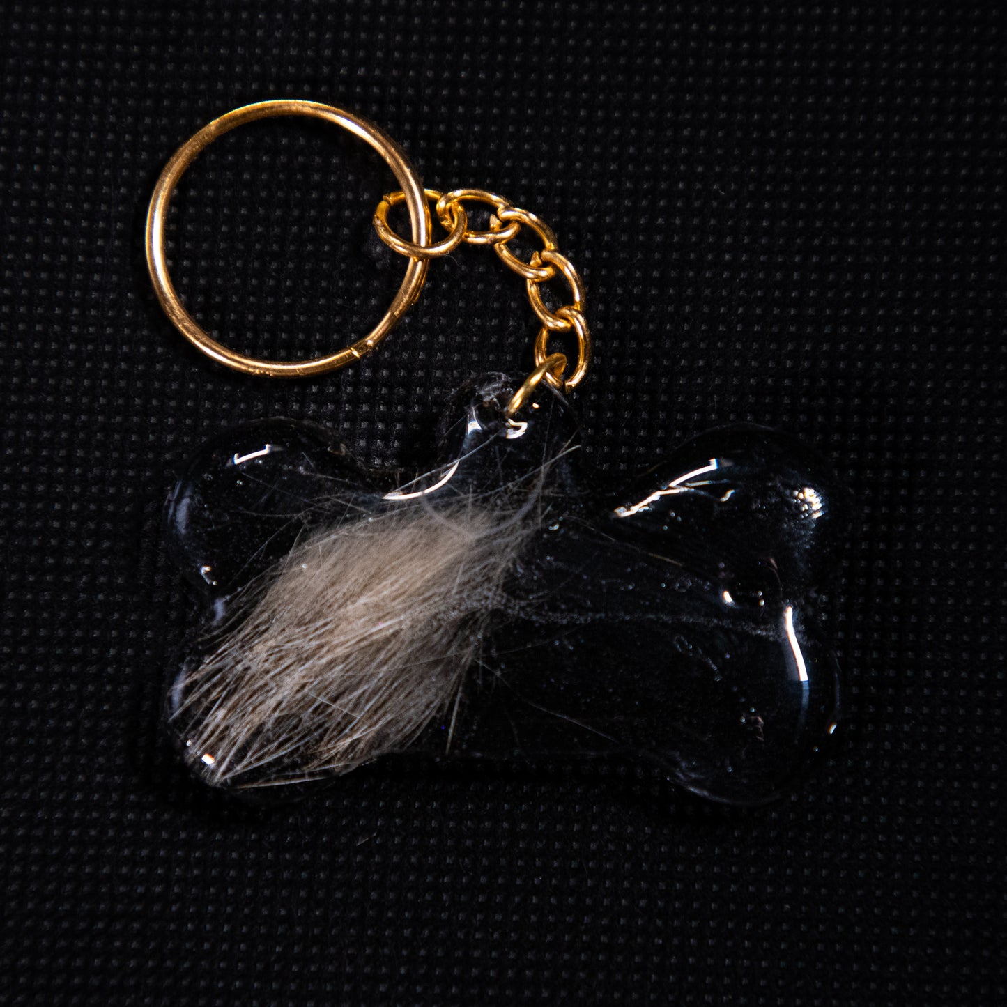 Dog Tags