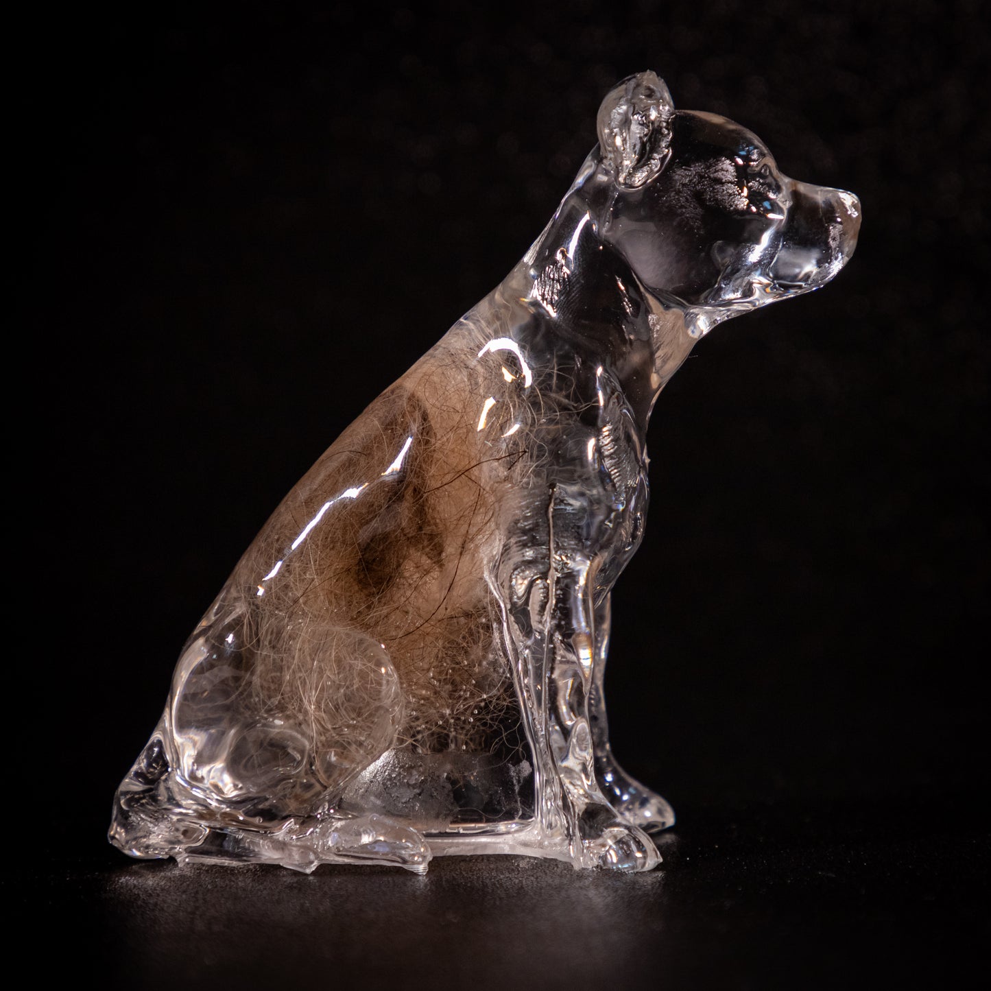 Staffy Memorial Statue