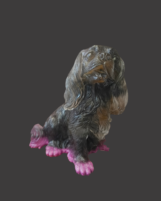 Cavalier King Charles (large)