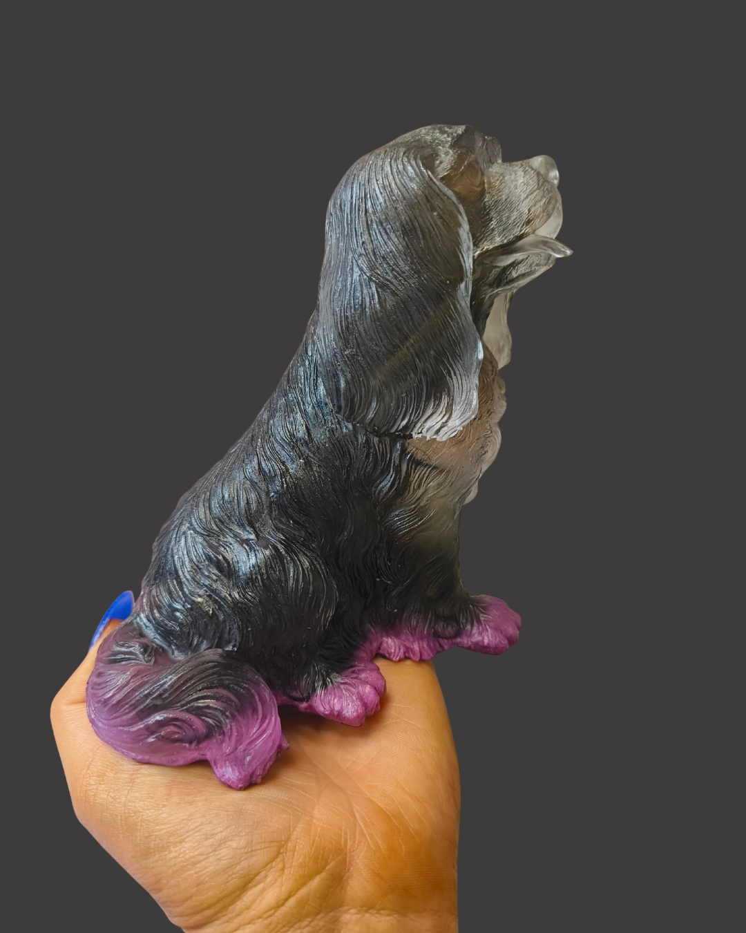 Cavalier King Charles (large)