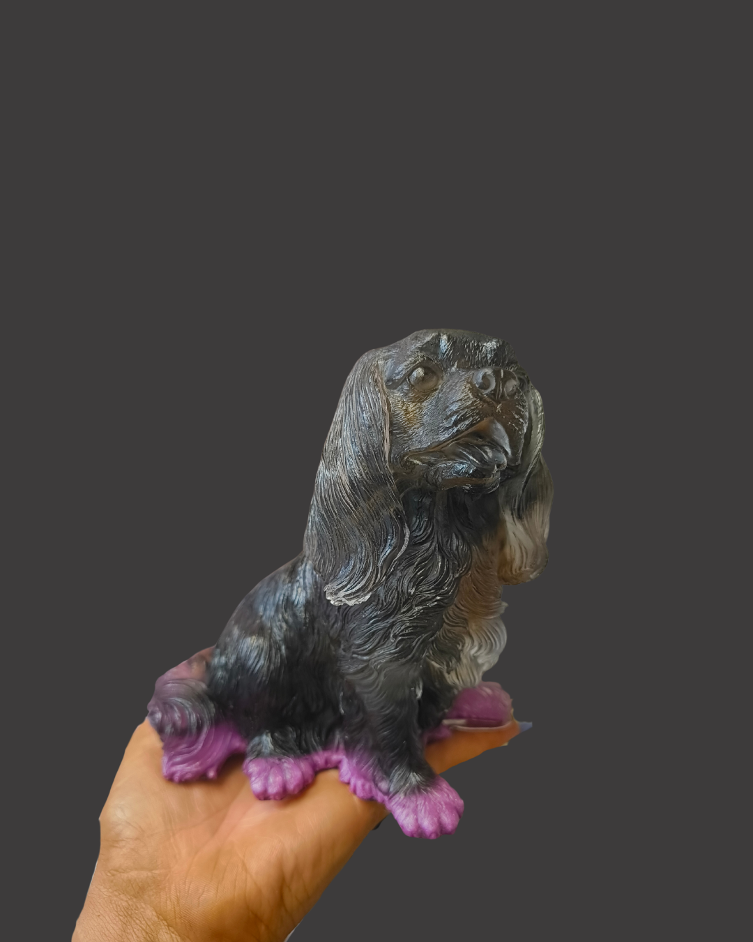 Cavalier King Charles (large)